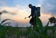 中原粮仓，太难了-程序员中文网