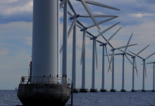 特朗普多次攻击风能后，美国启动对风力涡轮机调查-程序员中文网