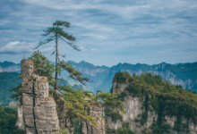 第一家抄迪士尼作业的5A景区，被骂惨了-程序员中文网