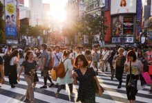 人口16连降,这个亚洲国家绷不住了-程序员中文网