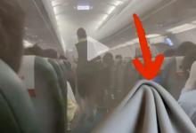 故意调低温卖毛毯？春秋航空声明！去年盈利22.7亿，是“国内最赚钱航司”-程序员中文网