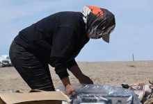 拼多多千亿投入超预期，Q2净利润同比下降4%-程序员中文网