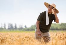 万亿级“大妖”横空出世 ，牵扯出中国经济大变化-程序员中文网