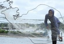 印尼虾销美突遭关税横祸,养殖业者转向开发中国商机-程序员中文网