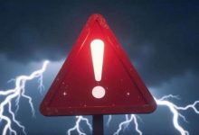 严重财务造假！监管出手，重罚-程序员中文网