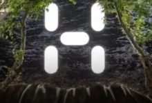 李宁做梦都想要有个始祖鸟?-程序员中文网