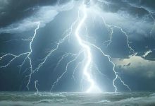 四连板!603398:实控人被立案-程序员中文网