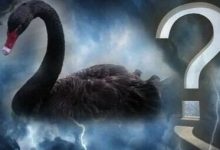 “黑天鹅”突袭!刚刚,印尼股、债、汇三杀-程序员中文网