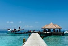 全世界都知道中国人放假了,马尔代夫有酒店超50%是中国客人-程序员中文网