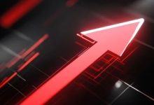 22股大涨超300%!新股赚钱效应飙升,最大“肉签”超6万元-程序员中文网