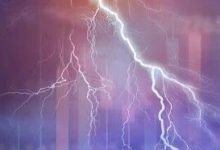 违规炒股!1人被罚没1.59亿,5年市场禁入-程序员中文网