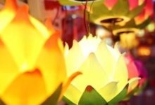 义乌又一爆款，它卖爆了-程序员中文网