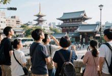 每天200万人出境游,都去了哪里?-程序员中文网