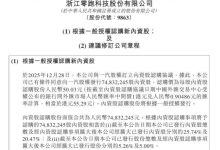 零跑汽车：拟向一汽股权发行内资股，总筹约37.4亿元-程序员中文网