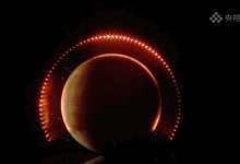 群星聚势 鸿蒙生光！央视盛典刷屏全网-程序员中文网