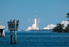 马斯克回应“SpaceX冲击8000亿美元估值”传闻-程序员中文网