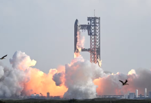 2500亿美元！SpaceX收购xAI金额曝光-程序员中文网